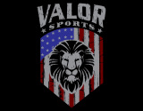 GOLD-Valor-Sports