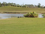 Kaitlin A. Kazanjian Golf 2012