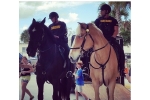 Horses